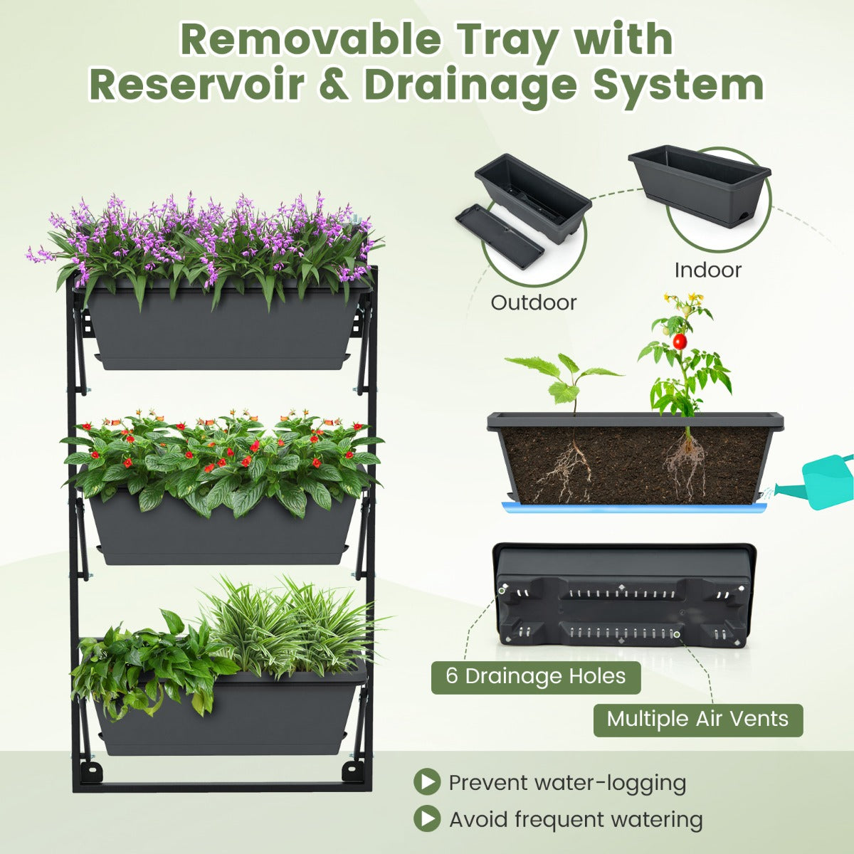 Tiered wall planter helps each plant receive sufficient sunlight for healthy growth and foliage