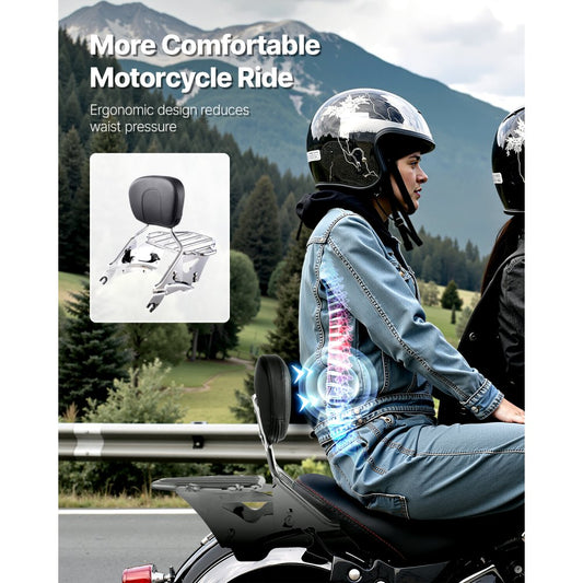 VEVOR Motorcycle Backrest Sissy Bar with Luggage Rack Harley-Davidson Touring