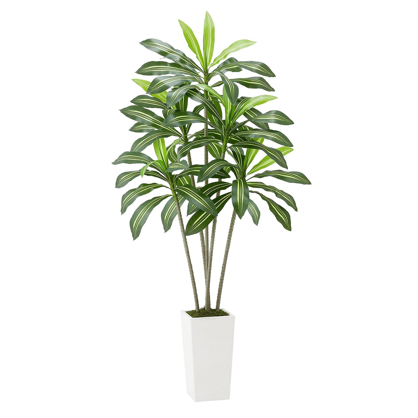 Artificial Dracaena Tree 1829 mm, Fake Palm Tropical Plants with White Tall Planter, Faux Floor Silk Plant in Pot, Large Trees for Home Office Living Room Decor House Warming, Indoor Outdoor