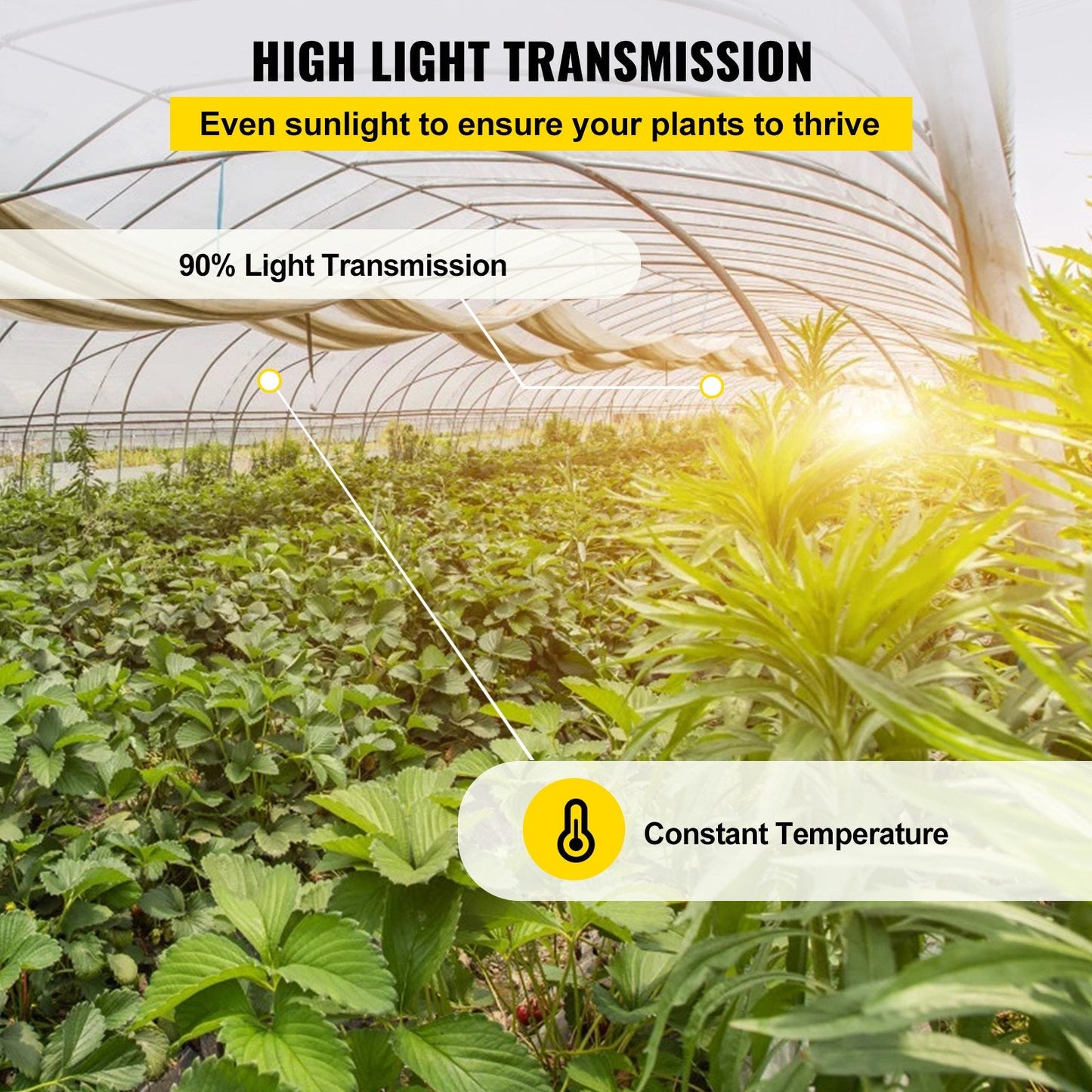Greenhouse Plastic Cover, 7.3 x 30.5 m, 0.15 mm Thick, UV Resistant Film