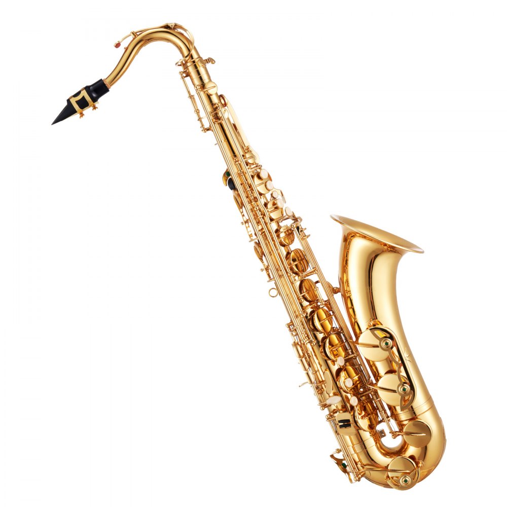 VEVOR Gold Brass Tenor Saxophone B Flat Sax Beginner Kit with Case Mouthpiece