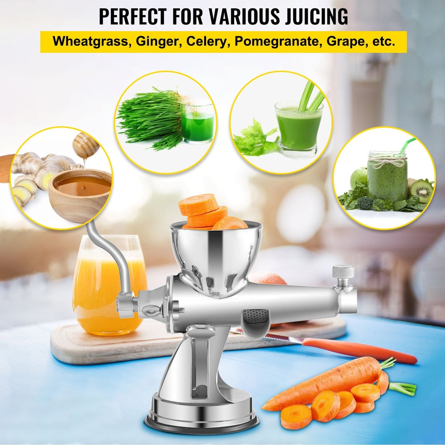 Stainless Steel Manual Wheatgrass Juicer & Vegetable Grinder, 2.53 kg