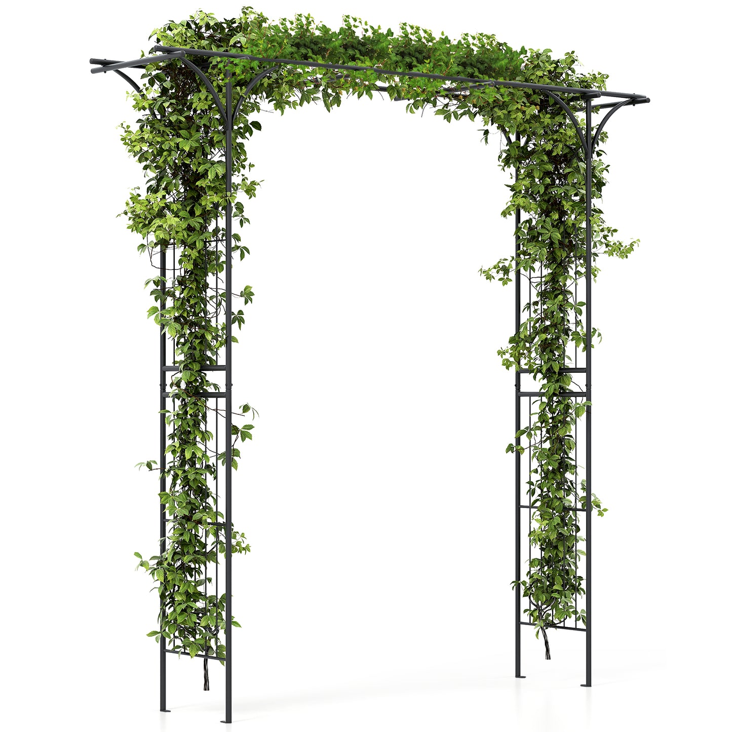2M Garden Arbor Metal Archway for Climbing Plants