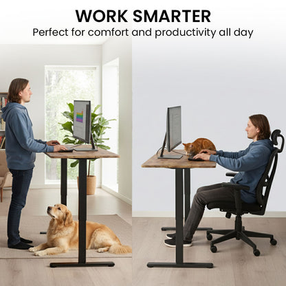 Sit to Stand Standing Desk, 160x60cm, 72-118cm Electric Height Adjustable, Walnut Style Desktop/Black Frame