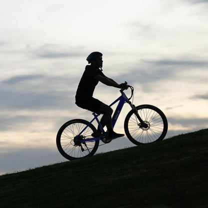 Electric Mountain Bike with 250W Motor, Medium Frame, 0.5m Wheels, Blue