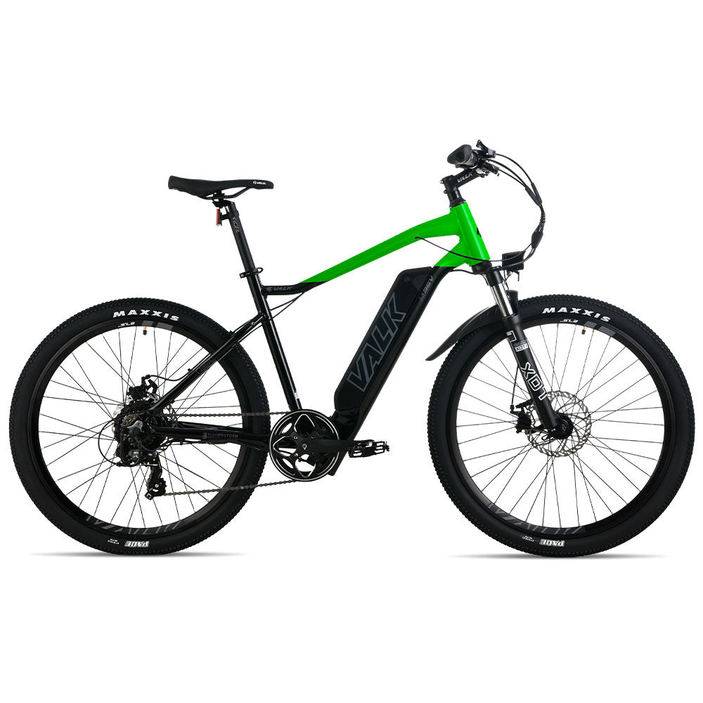 Mountain Electric Bike with 250W Motor, Alloy Frame, and 40km Range
