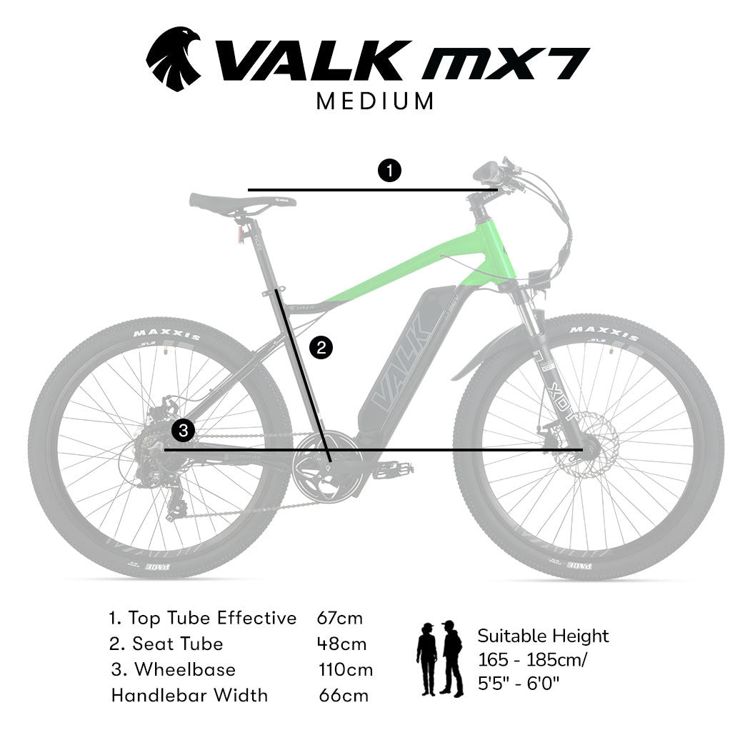 Mountain Electric Bike with 250W Motor, Alloy Frame, and 40km Range
