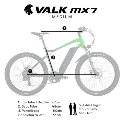 Mountain Electric Bike with 250W Motor, Alloy Frame, and 40km Range