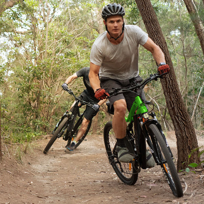 Mountain Electric Bike with 250W Motor, Alloy Frame, and 40km Range