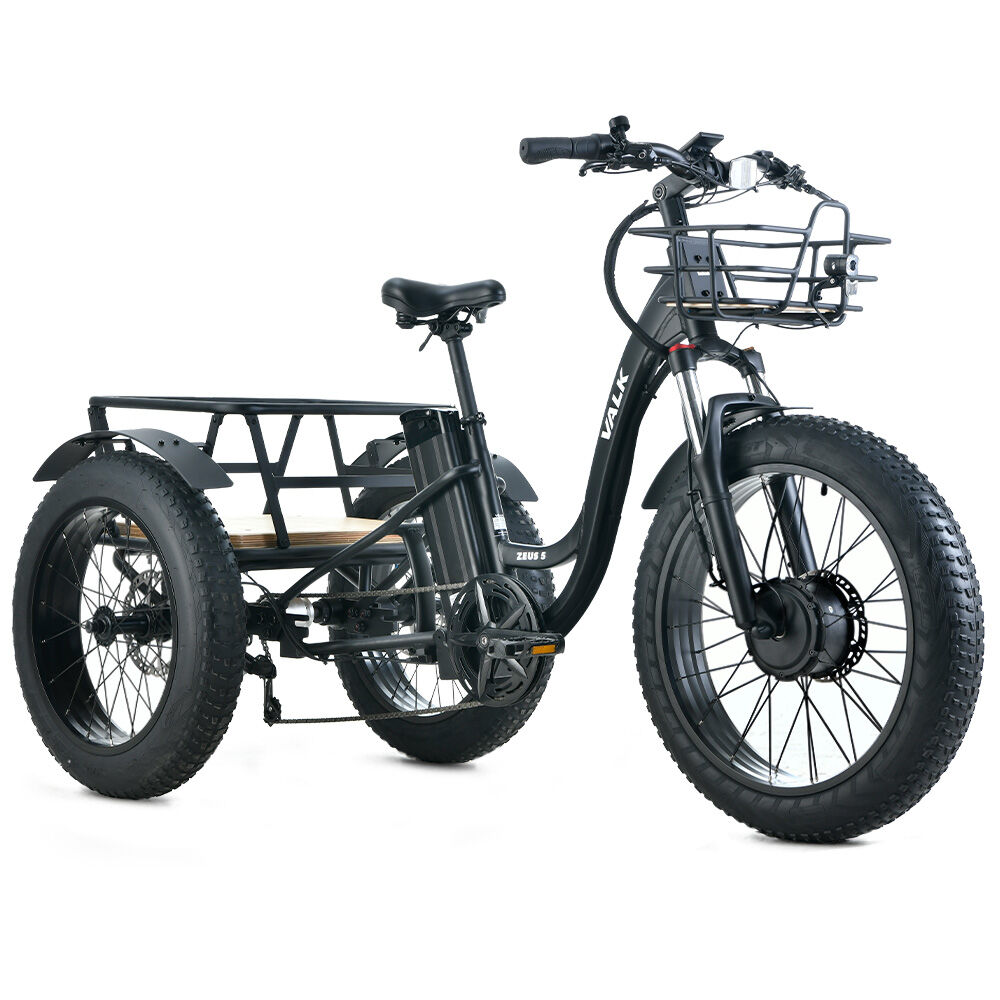Electric Fat Tyre Tricycle, 500W, Hydraulic Brakes, 40km Range, Alloy Frame