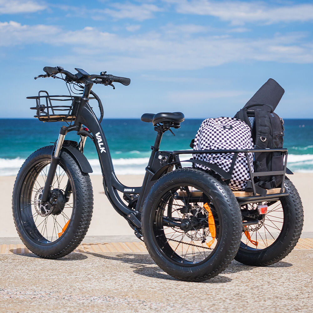 Electric Fat Tyre Tricycle, 500W, Hydraulic Brakes, 40km Range, Alloy Frame