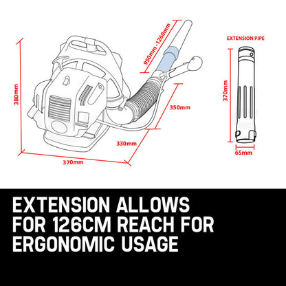 30cc Backpack Petrol Leaf Blower, 2-Stroke Engine, 300km/h Air Speed