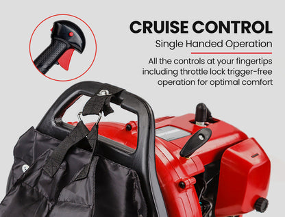 30cc Backpack Petrol Leaf Blower, 2-Stroke Engine, 300km/h Air Speed