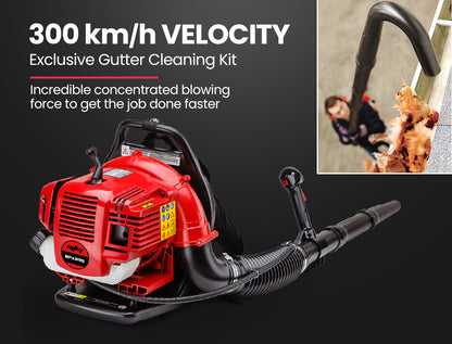 30cc Backpack Petrol Leaf Blower with Gutter Kit & 290cm Reach