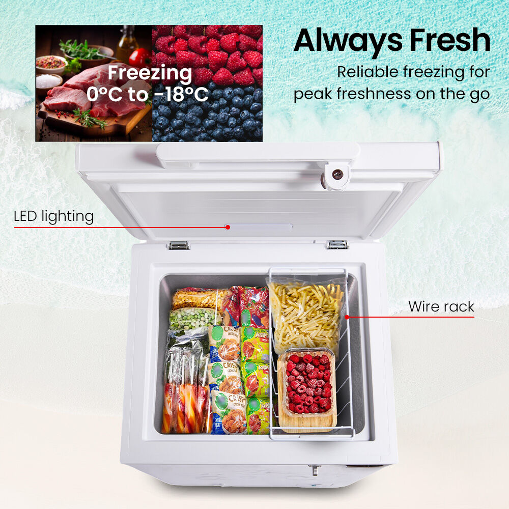 100L Portable Chest Freezer, 12V/24V/240V for RVs & Off-Grid Living, White