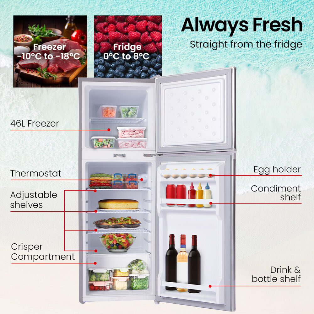 142L Portable Fridge Freezer - 0.3m/0.6m/240V for RVs & Off-Grid Living, Silver