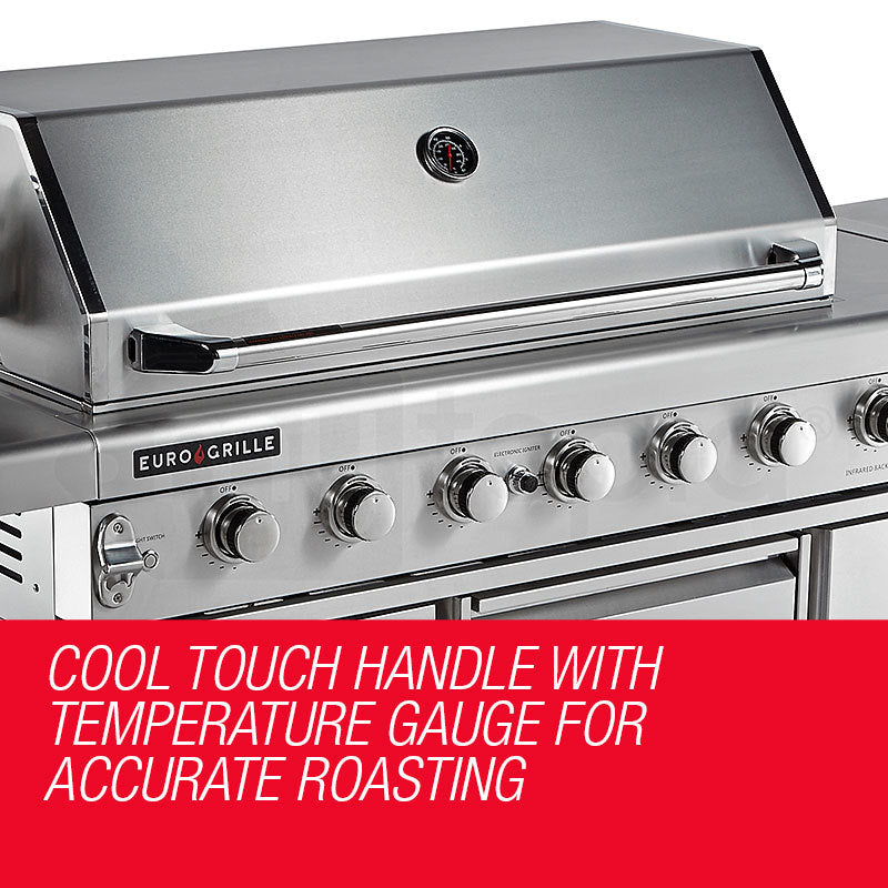 8-Burner Outdoor BBQ Gas Grill with Stainless Steel Kitchen Features