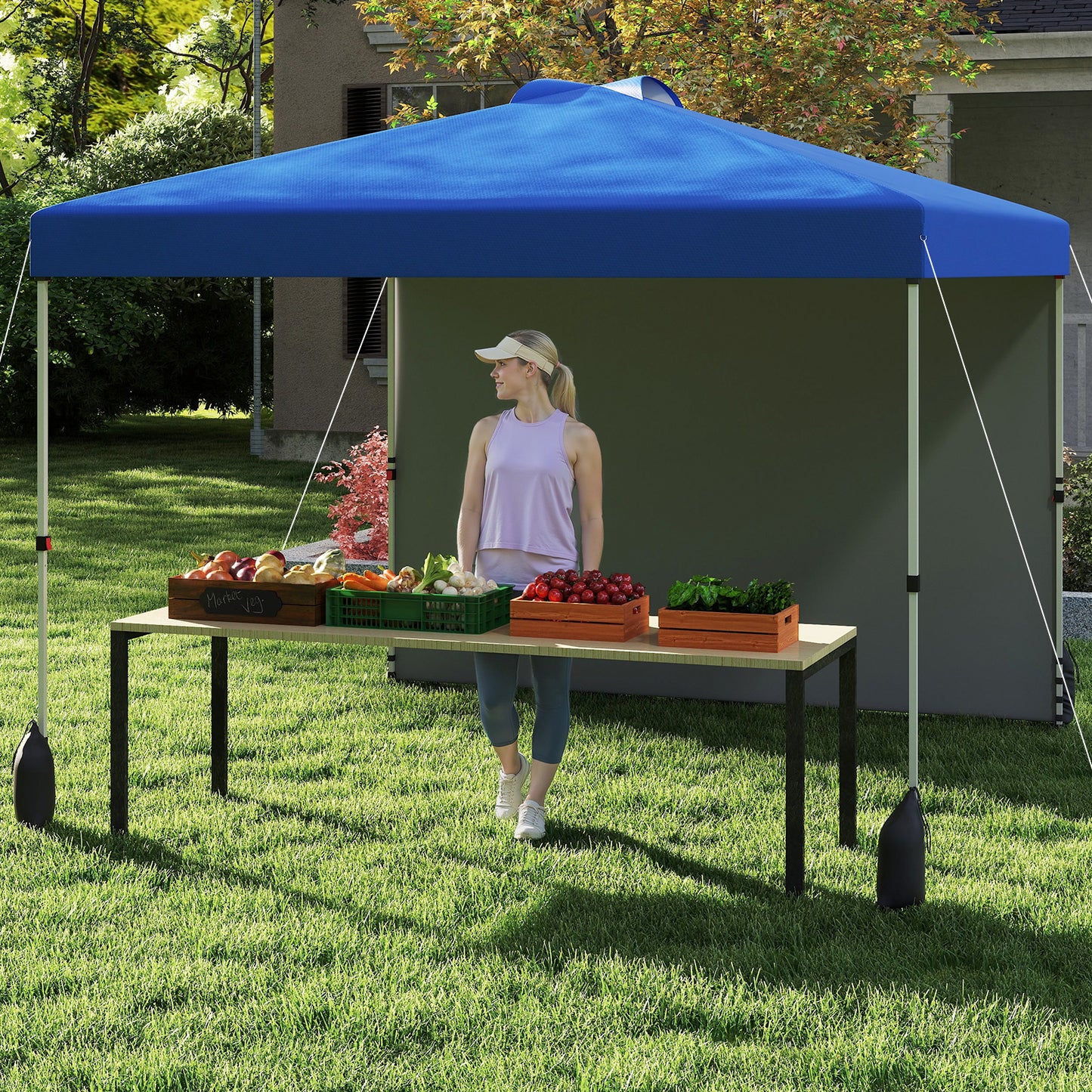 3 x 3 m Pop up Canopy Tent with 1 Sidewall and Wheeled Bag-Blue