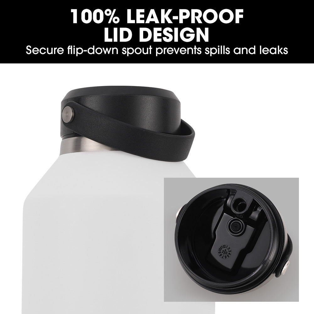 1.9L Double-Wall Insulated Stainless Steel Water Jug with Straw & Handle