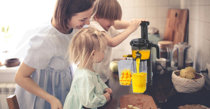 Cold Press Slow Juicer with Sorbet Function and Whole Fruit Chute, 250W Motor