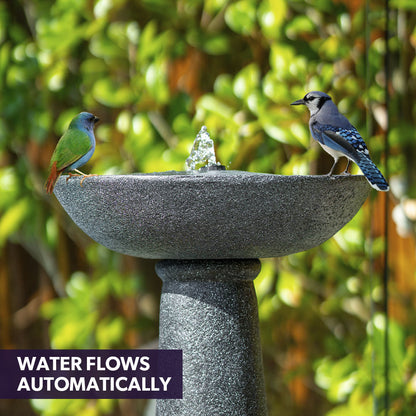 Solar-Powered Bird Bath Fountain with LED Lights and Battery Backup, Dark Grey