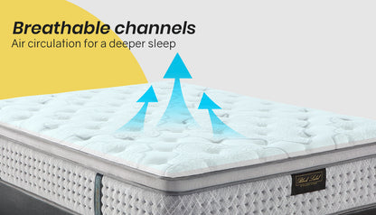 Double Size Medium Firm Mattress with Euro Top & Memory Foam, 0.34m Thick