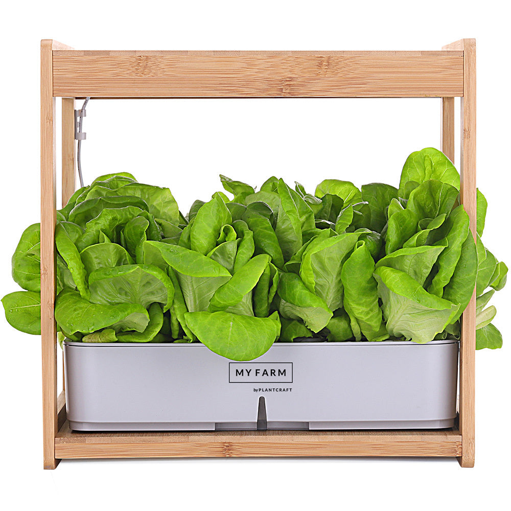 12 Pod Hydroponic Indoor Garden System with Bamboo Frame & LED Lights