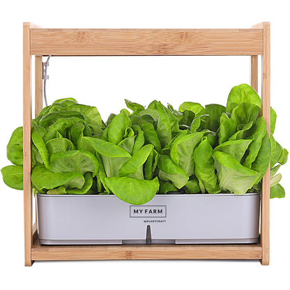 12 Pod Hydroponic Indoor Garden System with Bamboo Frame & LED Lights