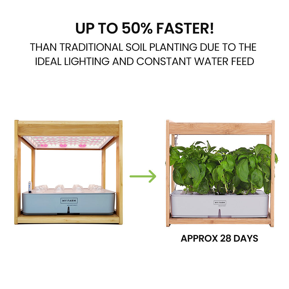 12 Pod Hydroponic Indoor Garden System with Bamboo Frame & LED Lights