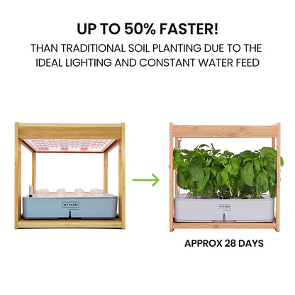 12 Pod Hydroponic Indoor Garden System with Bamboo Frame & LED Lights