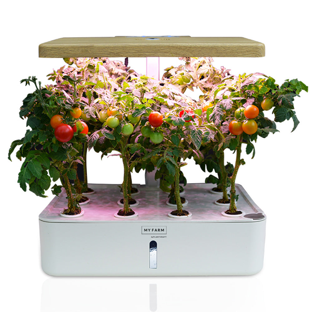 12-Pod Indoor Hydroponic System with LED Lights & Pump, Water Level Window