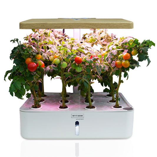 12-Pod Indoor Hydroponic System with LED Lights & Pump, Water Level Window
