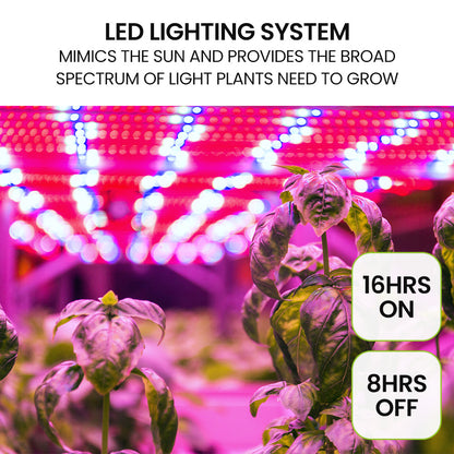12-Pod Indoor Hydroponic System with LED Lights & Pump, Water Level Window