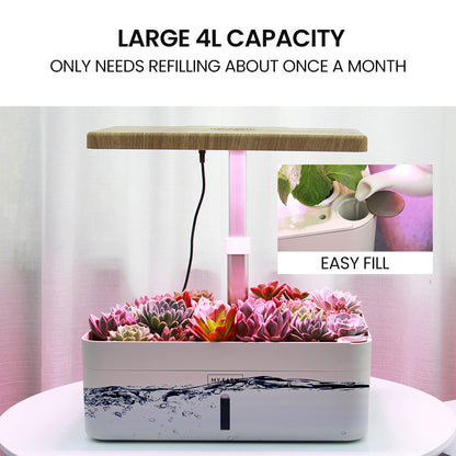 12-Pod Indoor Hydroponic System with LED Lights & Pump, Water Level Window