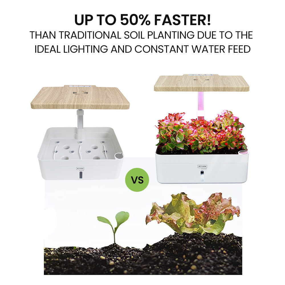 12-Pod Indoor Hydroponic System with LED Lights & Pump, Water Level Window