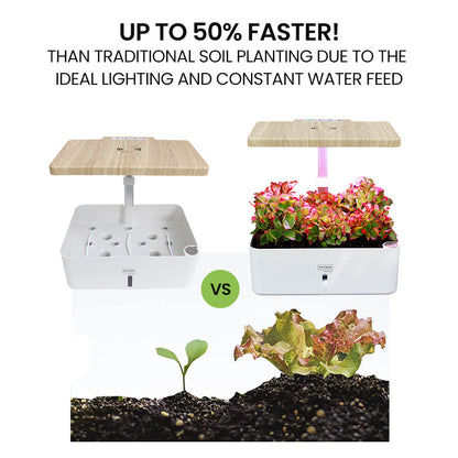 12-Pod Indoor Hydroponic System with LED Lights & Pump, Water Level Window