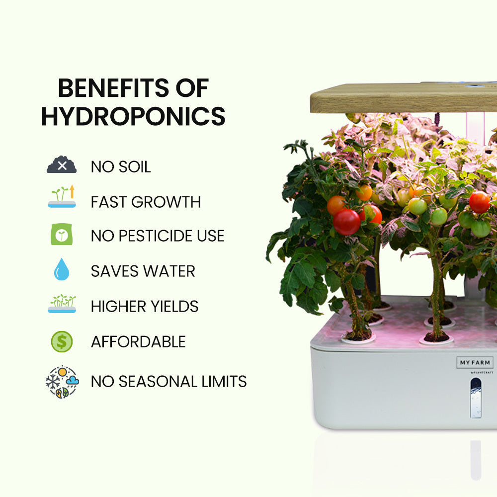 12-Pod Indoor Hydroponic System with LED Lights & Pump, Water Level Window