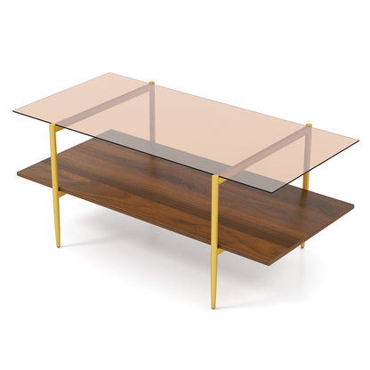 2-Tier Glass Coffee Table Rectangle Center Table with Tampered Glass Tabletop-Brown