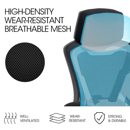 Ergonomic Mesh Office Chair with Lumbar Support, Recline & Headrest, Black