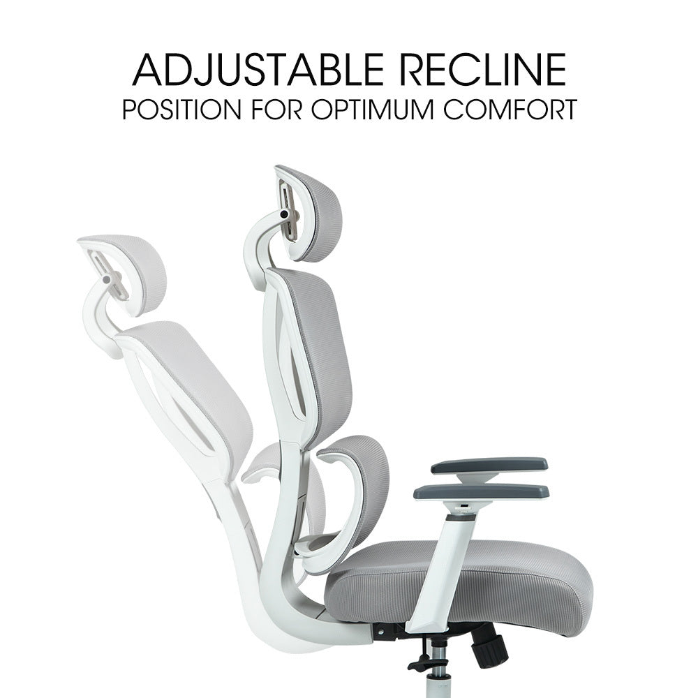 Ergonomic Office Chair with Mesh, Adjustable Lumbar, Headrest, and Armrests
