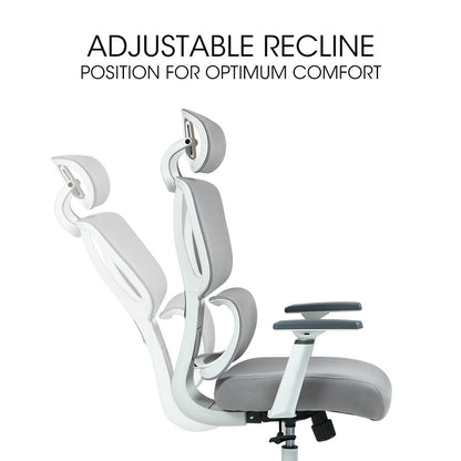 Ergonomic Office Chair with Mesh, Adjustable Lumbar, Headrest, and Armrests