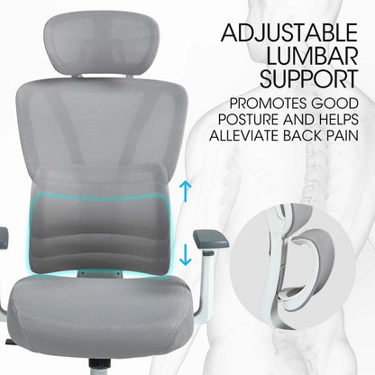 Ergonomic Office Chair with Mesh, Adjustable Lumbar, Headrest, and Armrests