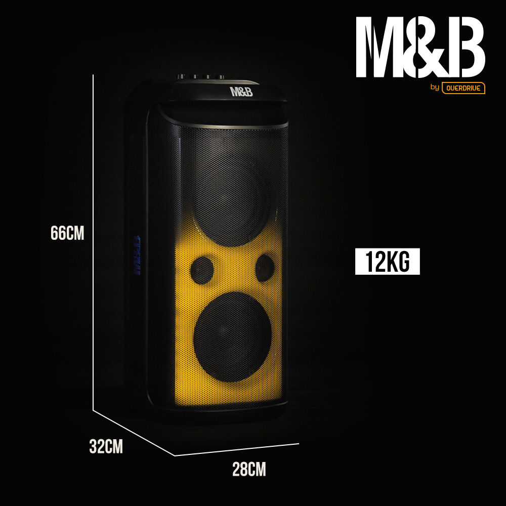 Portable 120W Bluetooth Speaker with Karaoke Mic, IPX4, RGB Lights, TWS Pairing