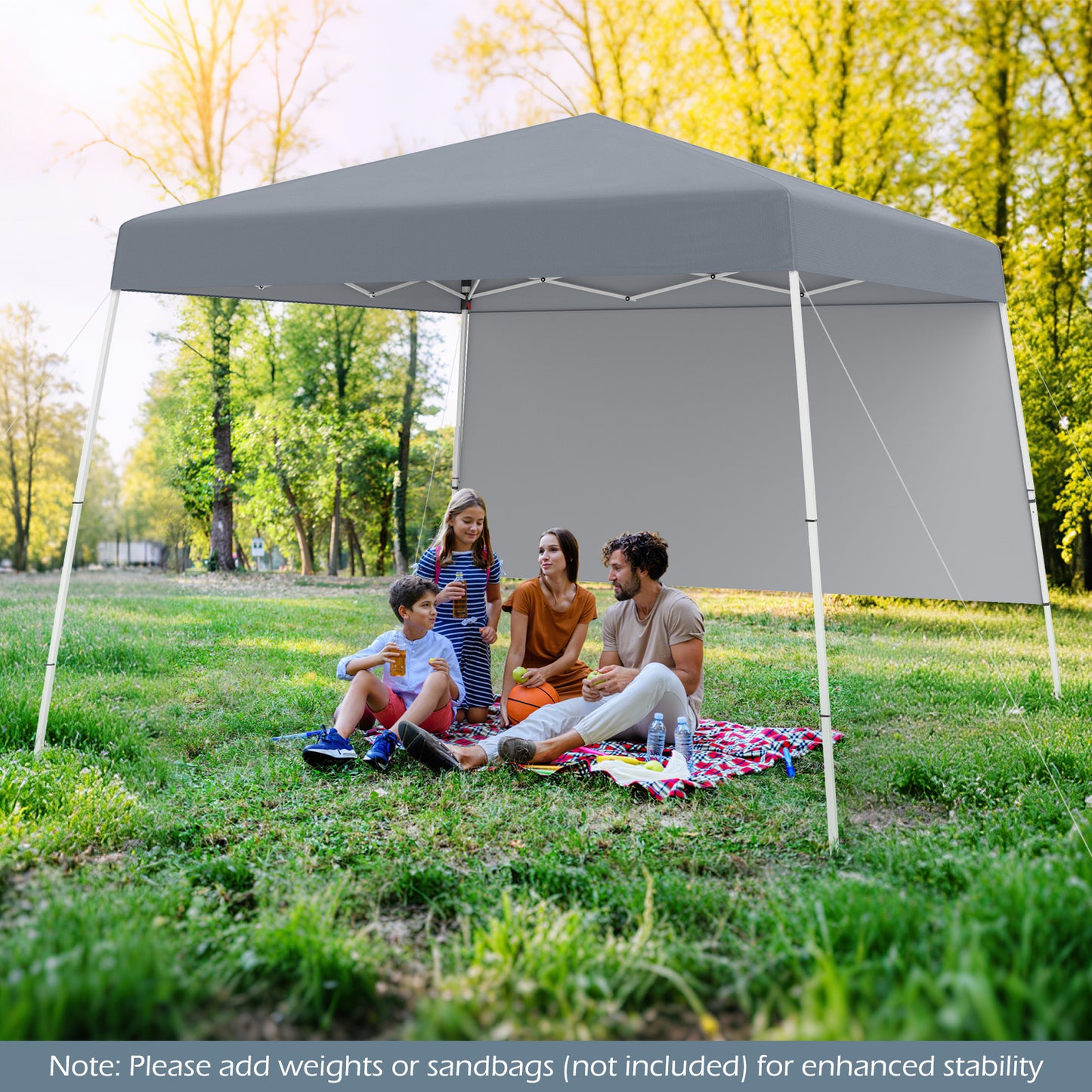 Pop up Canopy Tent with 1 Sidewall for Party Events Camping Picnic-Grey