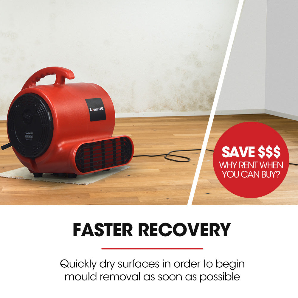 Compact 6.5kg Carpet Dryer Air Mover Blower Fan, 3-Speed, 800CFM, Commercial/Home