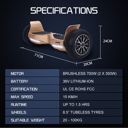 SX-4000 Hoverboard, 0.22m Wheels, 700W Motors, Self-Balancing, LED, Bronze
