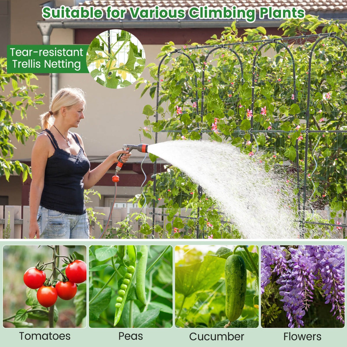 Garden Arched Trellis for Climbing Plants U-Shaped with Netting