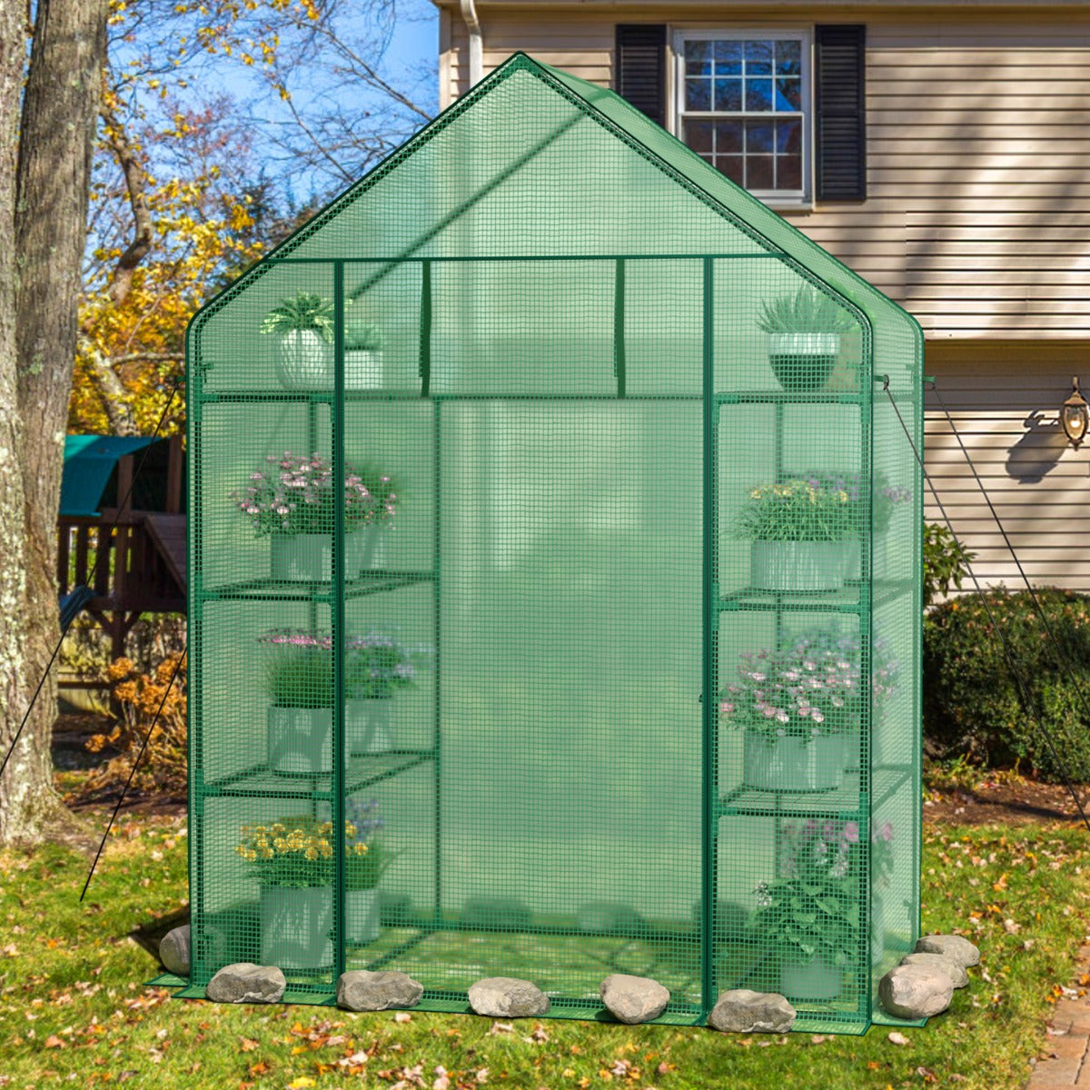 Garden Greenhouse with Hinged Door Tent for Growing Plants-Green