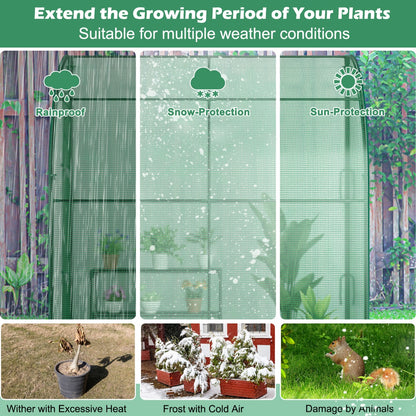 199 x 98 x 215cm Mini Lean-to Walk-in Greenhouse with Flower Rack