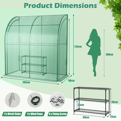 199 x 98 x 215cm Mini Lean-to Walk-in Greenhouse with Flower Rack